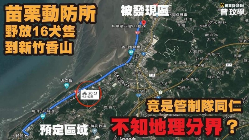 新竹市發現苗栗TNvR犬隻，竟是苗縣動保所人員「搞錯地理分界」。（曾玟學提供）