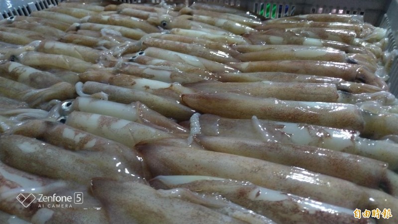 真魚開箱！買小管奉送「魚中有魚」 消費者卻覺得虧到
