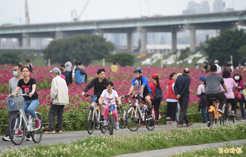 趁著週末好天氣，不少民眾前往新北大都會公園騎單車、遛狗，戴著口罩享受陽光。（記者劉信德攝）