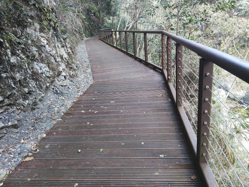 八仙山國家森林遊樂區木棧道整修完成，將於五月一日重新開放。（東勢林管處提供）