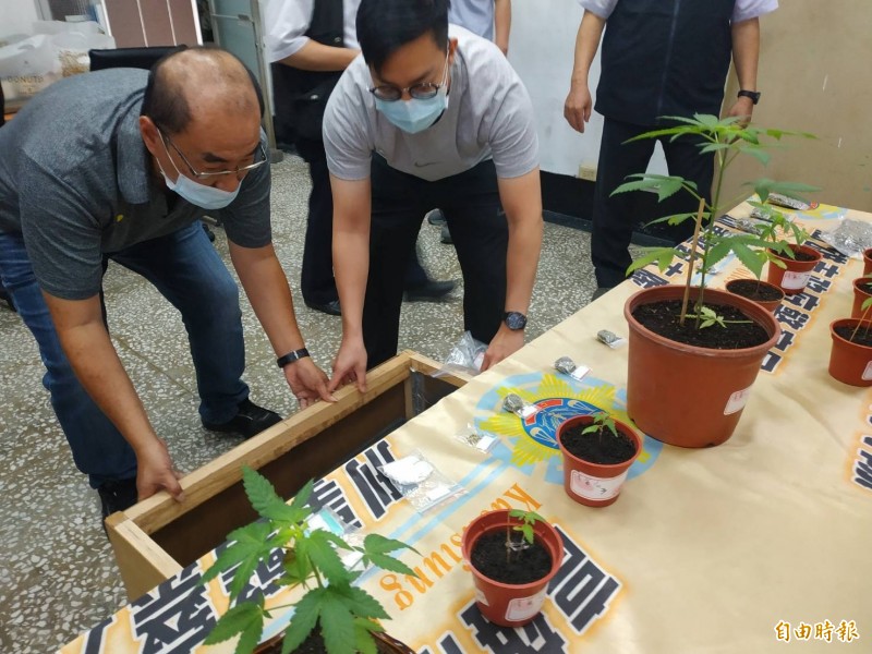 高市刑大在苓雅區出租套房破獲種植大麻。（記者黃佳琳攝）