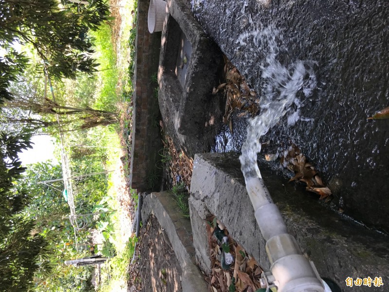 地下水不用馬達也能不斷湧出，經灌溉溝渠流進果園。（記者洪臣宏攝）