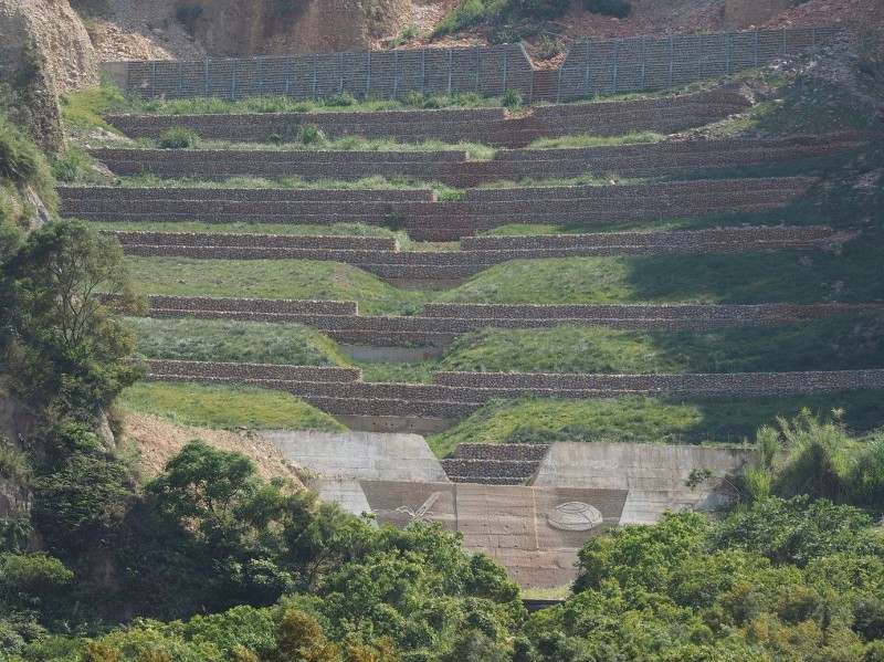 鐵砧山北側崩塌地今年5月坡面狀況，可見綠意盎然。（東勢林管處提供）