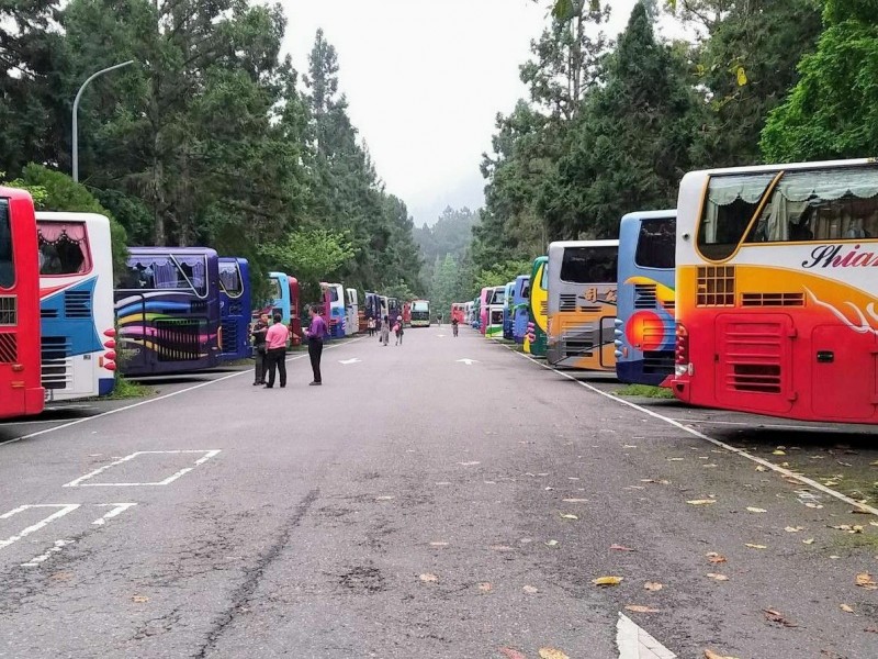 台灣防疫有成，民眾重拾出遊信心，溪頭園區平日也湧入8成遊覽車，足見國旅逐漸回溫。（記者劉濱銓翻攝）