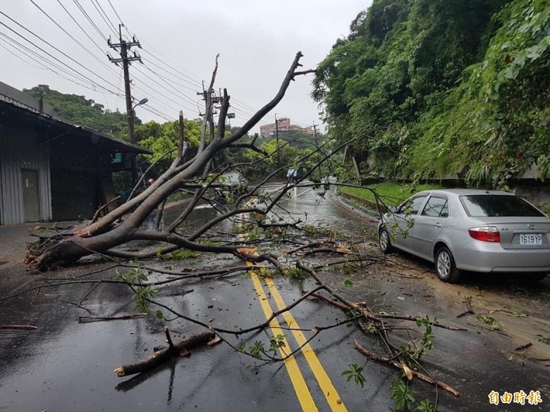 連日降雨，基隆市中正區豐稔街路邊擋土牆一棵大樹，挾帶泥水從50公尺高山坡應聲砸落路面，所幸事發時無人車通過。（記者林欣漢攝）