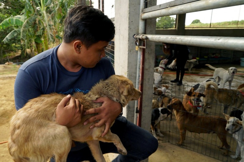 狂犬病由狂犬病病毒引起的一種急性病毒性腦脊髓炎，一旦發病後，致死率幾乎達100％，但如能在動物咬傷後，及時就醫，接受狂犬病暴露後預防接種，可以有效的降低發病的風險。（路透）