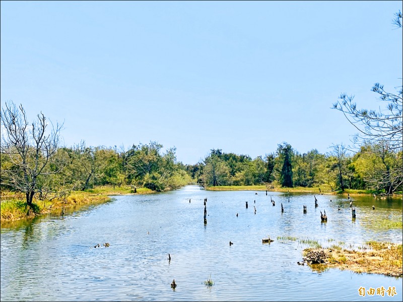 好美里保安林的「水漾森林」景致，吸引不少人前來觀景。（記者蔡宗勳攝）