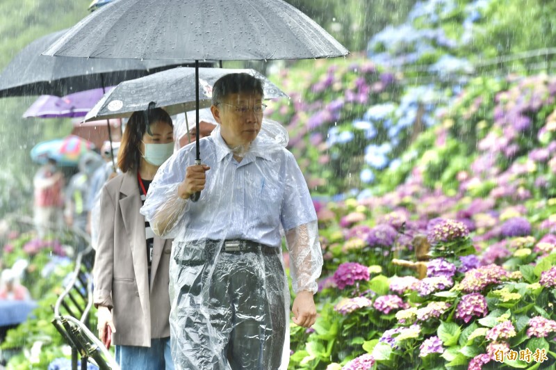 台北市長柯文哲今28日出席「竹子湖芋見小路臺灣水韭復育活動」。（記者塗建榮攝）