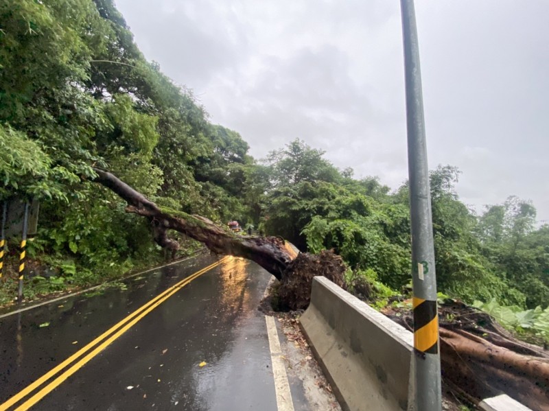 北投山區暴雨導致路樹倒塌，紗帽路目前雙向無法通行，警消現場戒備中。（記者姚岳宏翻攝）