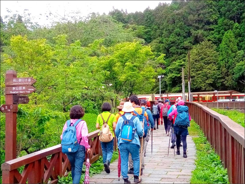 阿里山國家森林遊樂區出現團體遊客。
（記者蔡宗勳翻攝）