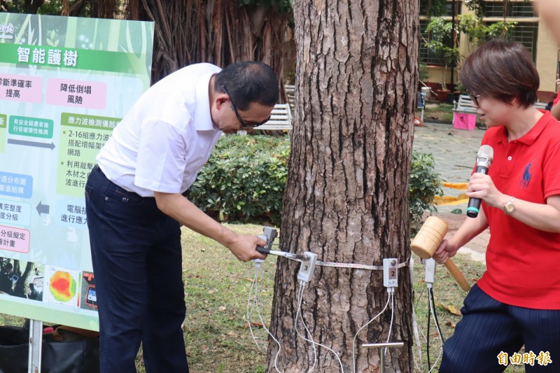 侯友宜扮演樹木醫生，為公園樹木進行智能檢測。（記者周湘芸攝）