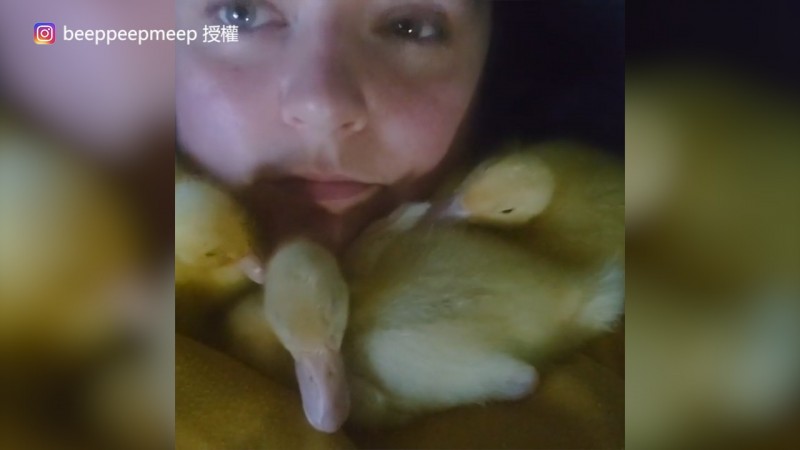 Charli Lello和她的三隻小鴨。（Instagram beeppeepmeep 授權）