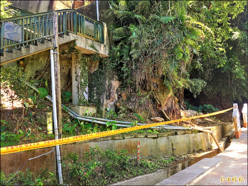 南庄洗衫坑旁樹根撐開岩壁 行經勿逗留