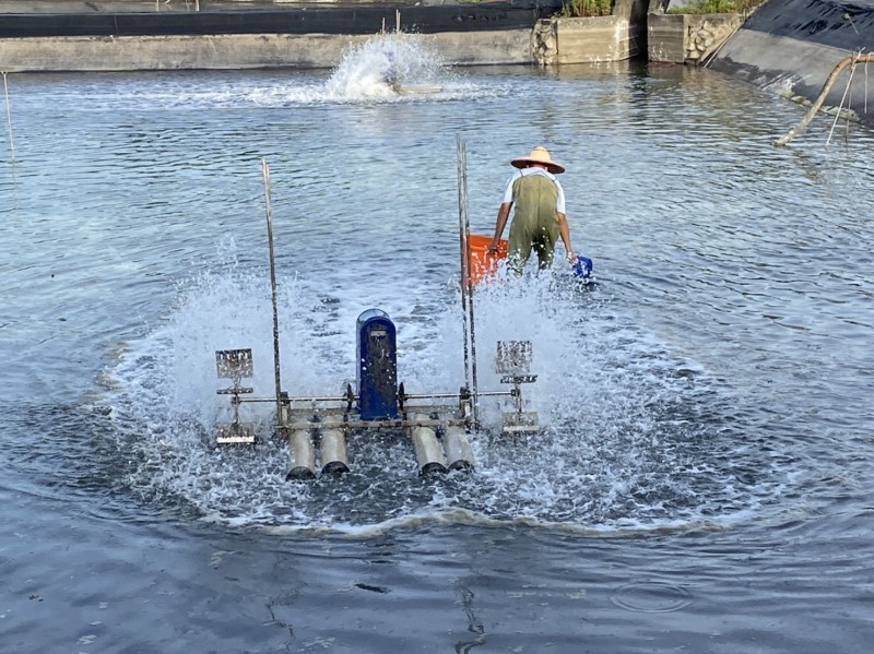 宜蘭草蝦、白蝦養池面積約127公頃，目前有兩養殖池確診「十足目虹彩病毒」，縣府已啟動防疫圍堵策略。（記者張議晨翻攝）