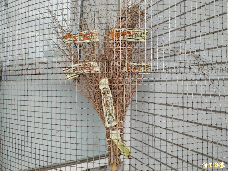 掃把倒著放竟會招黴運？老一輩都這樣説 | 家裡掃把這樣放，難怪運氣一直不好 | 掃把倒放真的會破財？專家告訴你真相