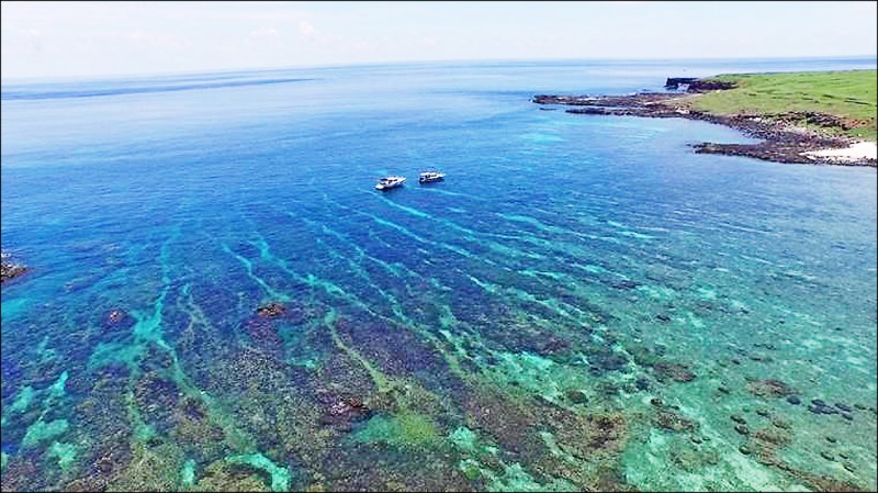 海底薰衣草森林為南方四島知名美景。（海管處提供）