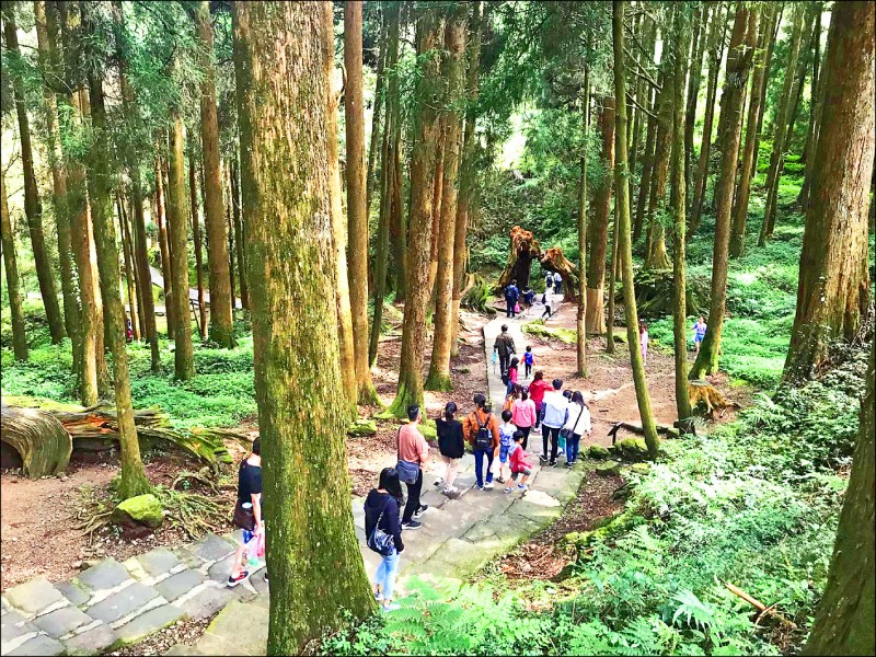 阿里山遊樂區入園遊客增多。（記者蔡宗勳翻攝）