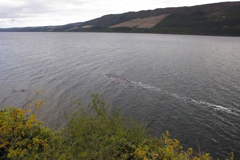 有英國遊客聲稱去年9月在尼斯湖拍到巨大水中生物照片。（圖擷自The Loch Ness Mystery）