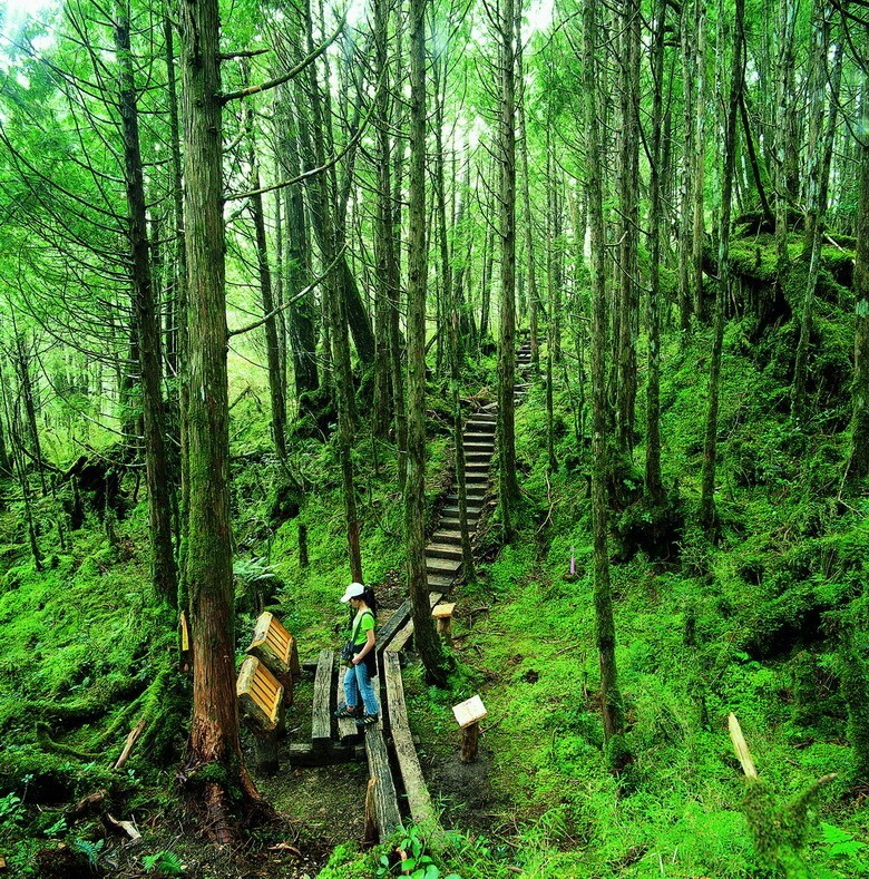 太平山7、8月期間清晨4點開園，週六提早到2點半，圖為翠峰湖環山步道。（記者江志雄翻攝）