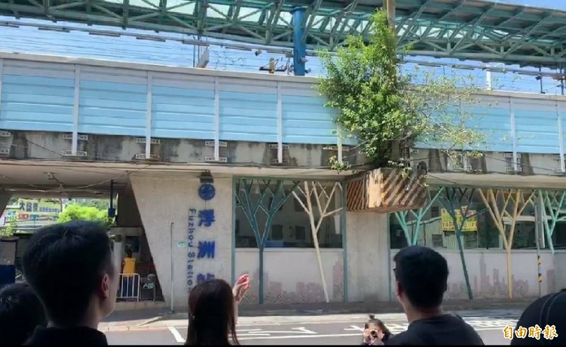 台鐵浮州車站高架認為軌道旁的樹木，新北市議員劉美方擔心影響軌道安全。（記者何玉華攝）