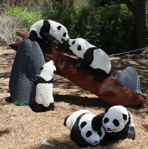 聖安東尼奧動物園園區內的5隻樂高小熊貓。（圖截取自園方Instagram）