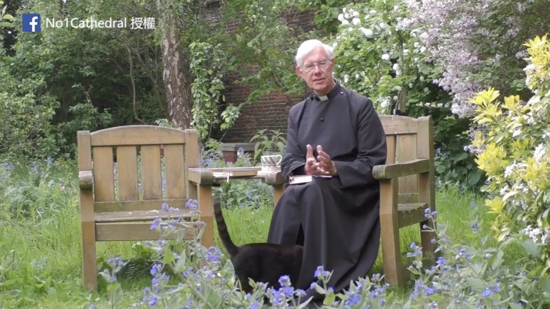 黑貓Leo在牧師講道時闖入道袍裡吸引大眾目光。（圖片由Facebook粉絲專頁No1Cathedral授權提供使用）