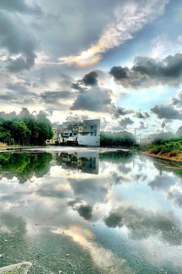 田中鎮民巡田水,驚見水田倒影有彩虹,抬頭看太陽才發現出現日華現象。(黃科儒提供) 田中鎮民巡田水,驚見水田倒影有彩虹,抬頭看太陽才發現出現日華現象。(黃科儒提供)