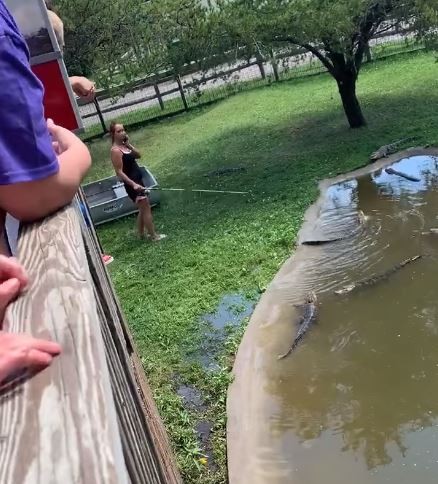 美國一名女子日前在明尼蘇達州一座動物園參觀時，不慎將錢包落入鱷魚池中，她趁工作人員沒注意時，帶著年幼的兒子跳到池邊，引開鱷魚注意力後取回錢包。（擷取自臉書）