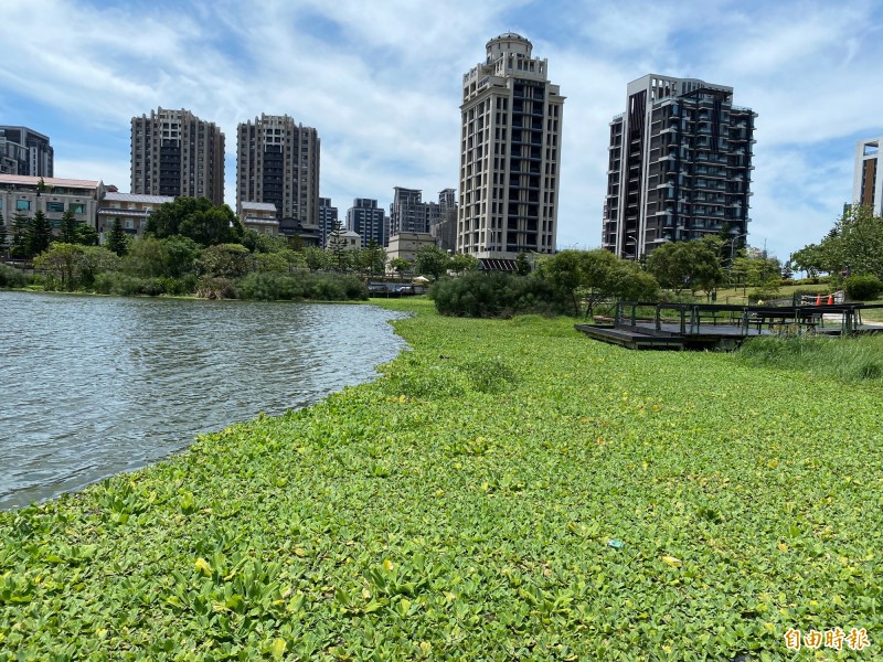 有民眾今晨到青塘園生態公園運動，發現水池有一具男屍，嚇得趕忙報案。圖為青塘園。（資料照）
