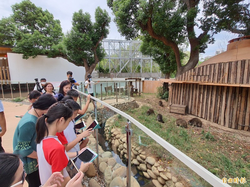打造雙語實境環境 新竹市結合動物園和6所學校