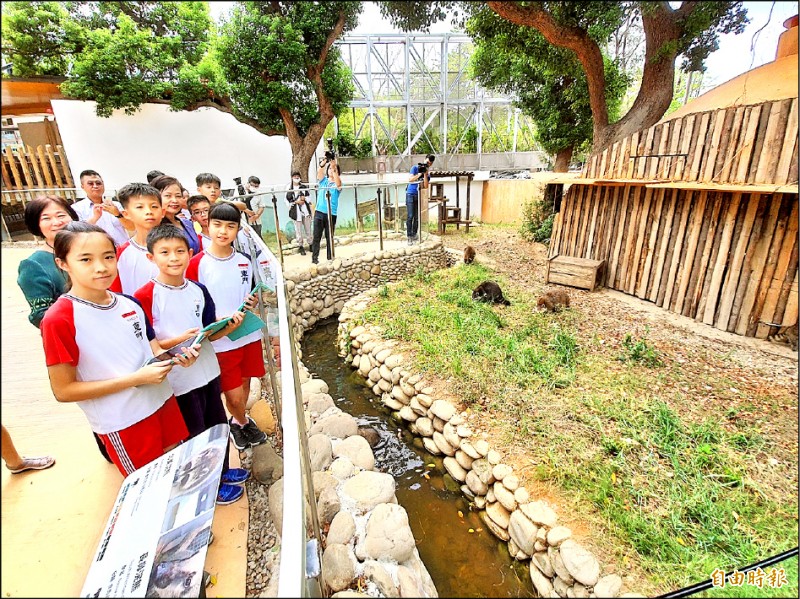 遊新竹動物園用ar闖關學英語 生活 自由時報電子報