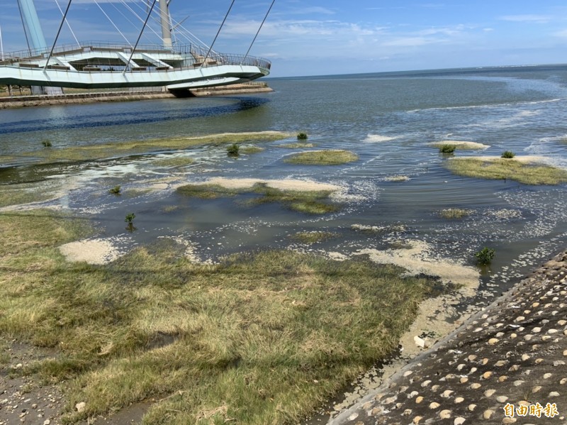 高美濕地景觀橋旁漂浮白色泡沫。（記者張軒哲攝）