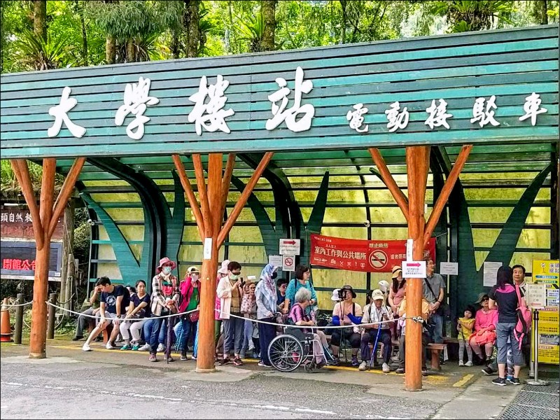 溪頭7月入園數創新高收入卻縮水 生活 自由時報電子報