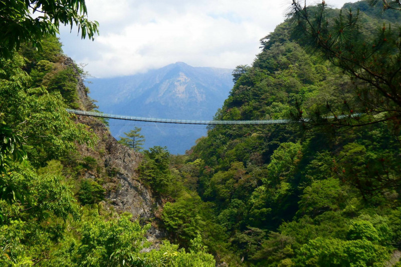 奧萬大國家森林遊樂區的吊橋8月20日起封閉至少5個月，山友必須改道進入登山步道。（南投林管處提供）