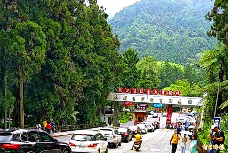 炎炎夏日，溪頭自然教育園區經常湧現人車潮。（記者謝介裕攝）