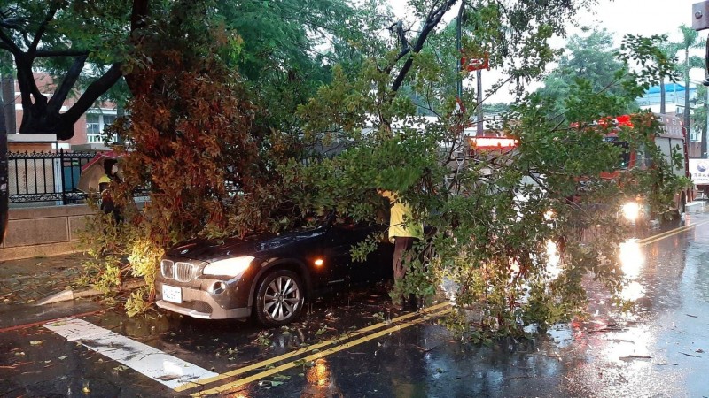 消防人員中西區開山路協助處理遭倒樹壓到的BMW。（記者王俊忠翻攝）