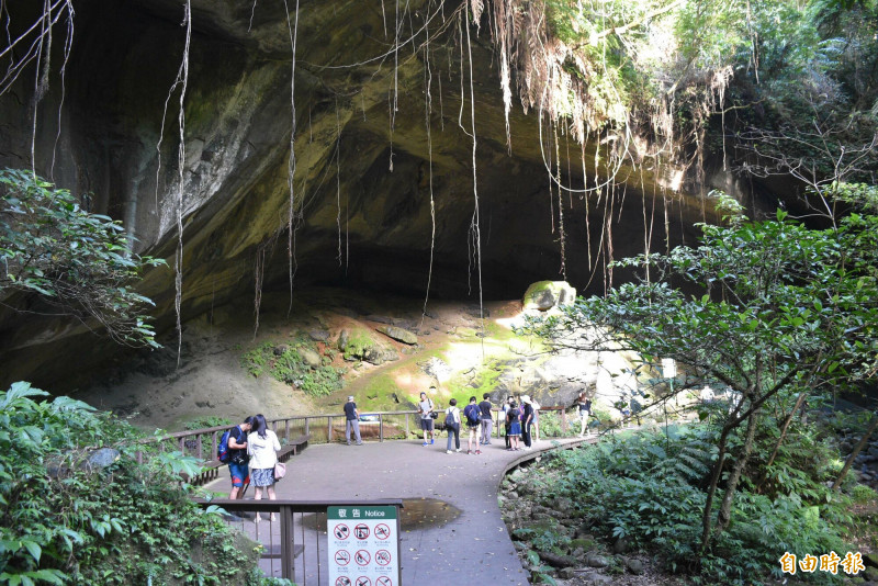 桃園市三民蝙蝠洞是一個天然形成的大岩洞，洞口高約20公尺、寬約50公尺、深約20公尺。（記者李容萍攝）