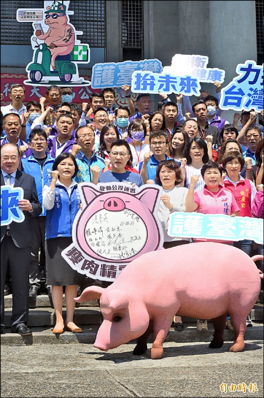 民黨主席江啟臣昨日舉行「捍衛台灣豬，瘦肉精零檢出，啟動公投連署」記者會，宣布正式啟動公投連署。（記者方賓照攝）