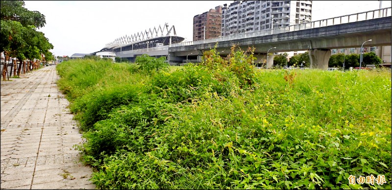 屏東火車站是屏東的門面，雜草卻長這麼高。（記者葉永騫攝）