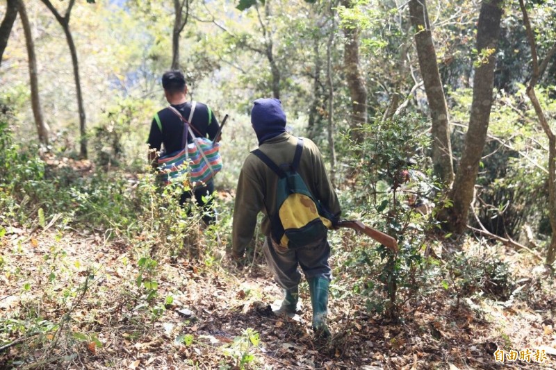 原住民狩獵容易因攜帶獵槍，或獵捕保育類動物引發法律責任，南投縣政府原民局研議推動獵人協會管理狩獵行為，保障原民狩獵傳統。（記者劉濱銓攝）