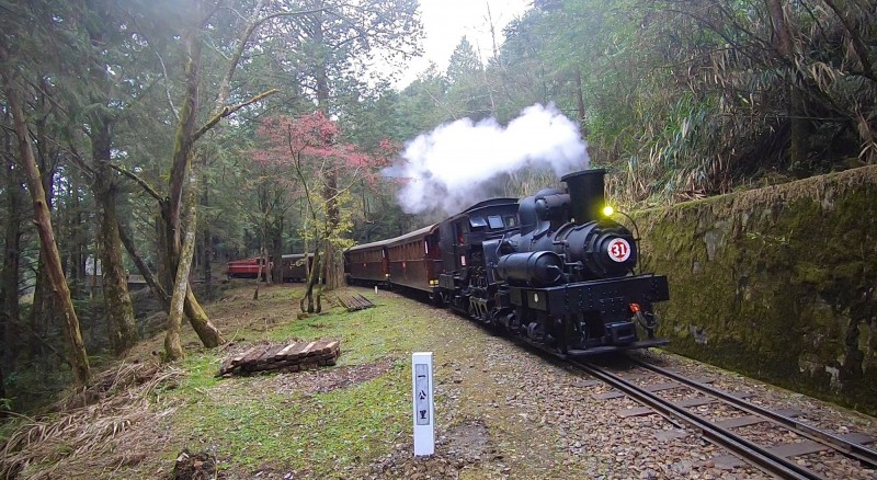 林鐵推出《SL-31蒸汽火車.楓華再現》主題列車。（圖由林鐵處提供）