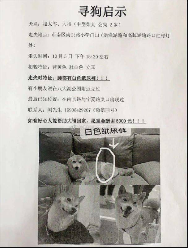 愛犬走失，飼主急賞2萬多元尋狗，誰知愛犬下場竟慘成餐桌上的肉塊。（圖擷取自微博）