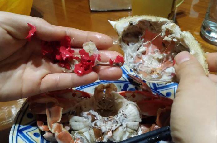 有網友品嚐當季螃蟹時，驚見螃蟹胃囊疑似充斥紅色塑膠物質，讓她驚呼「海洋垃圾」。（圖擷取自臉書＿爆怨2公社）