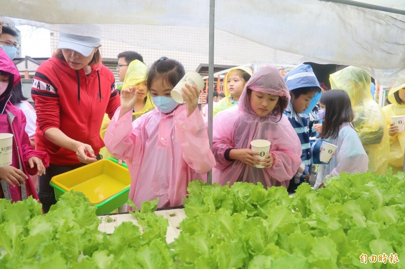 光復國小於學校屋頂設置日光農場發展食農課程。（記者周湘芸攝）