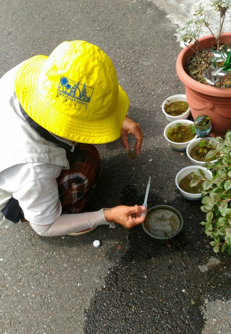 台南市衛生局加強中西區境外革登熱病例居住地環境孳生源清除。（台南市衛生局提供）