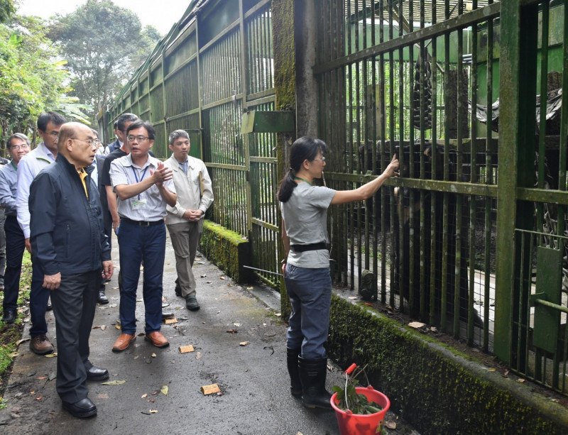 行政院長蘇貞昌今赴台中特生中心低海拔試驗站探望日前被山豬吊夾傷的台灣黑熊小七，視察台灣黑熊照養及降低人熊衝突計畫辦理情形。（行政院提供）