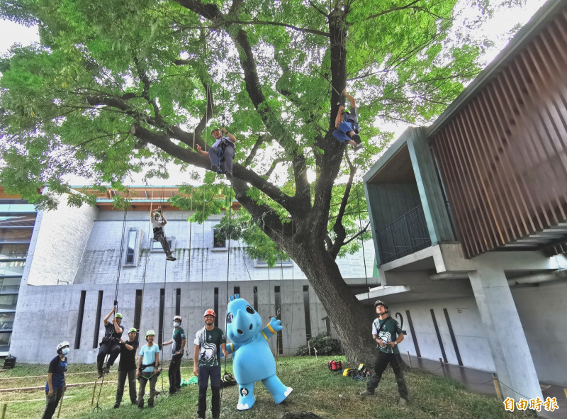 左鎮化石園區推出攀樹體驗，邀請遊客參加。（記者吳俊鋒攝）