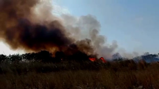 霧峰、草屯交界的烏溪河床，今天上午9點多發生雜草火警，火勢猛烈黑煙竄天，至今已延燒近6小時還未撲滅。（記者陳建志翻攝）