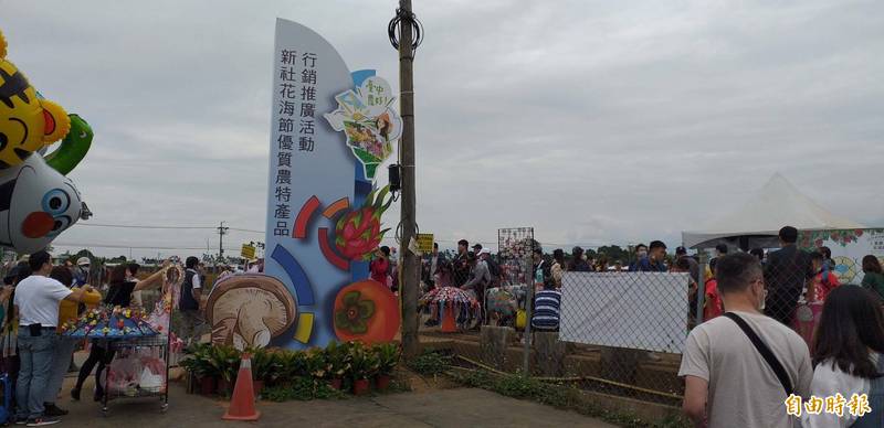 台中國際花毯節暨新社花海吸引遊客賞花。（記者張軒哲攝）