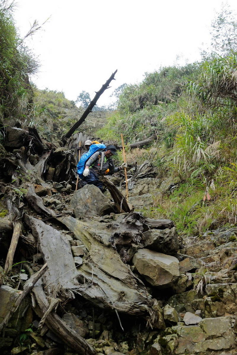 森林護管員進行山區巡護，得冒著危險小心翼翼橫越沖蝕山溝。（南投林管處提供）